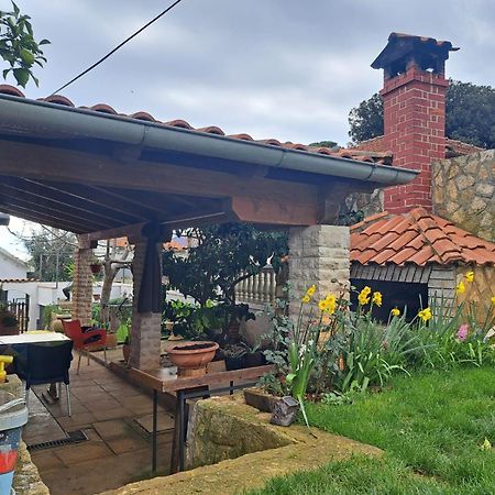 פרמנטורה Zefir Apartments מראה חיצוני תמונה