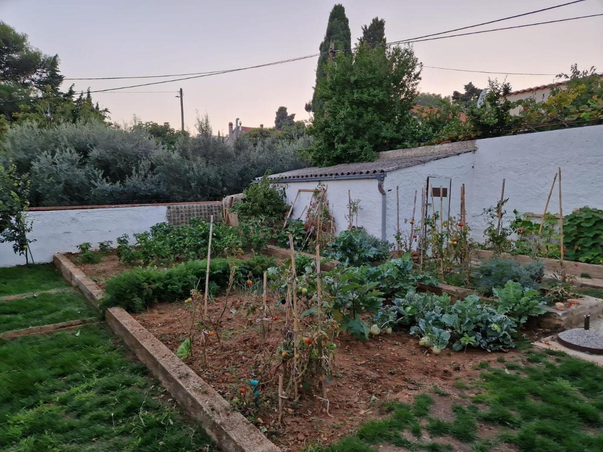 פרמנטורה Zefir Apartments מראה חיצוני תמונה