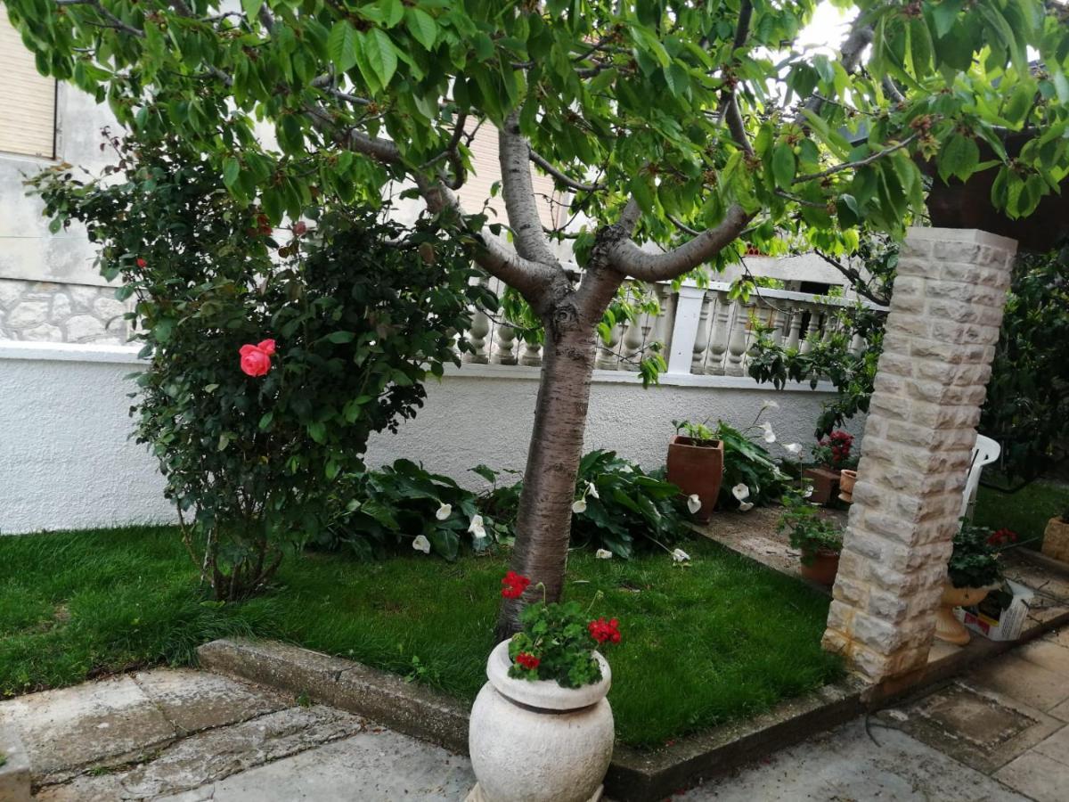 פרמנטורה Zefir Apartments מראה חיצוני תמונה
