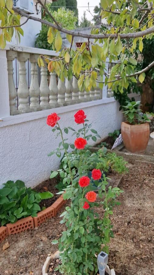 פרמנטורה Zefir Apartments מראה חיצוני תמונה