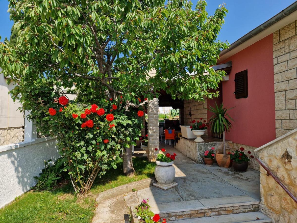 פרמנטורה Zefir Apartments מראה חיצוני תמונה